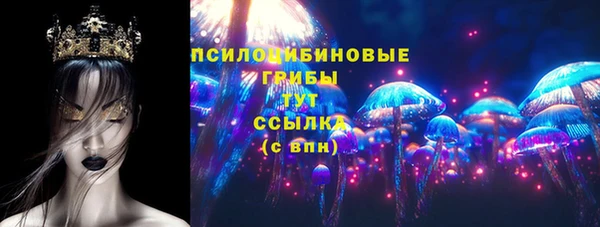 крисы Арсеньев