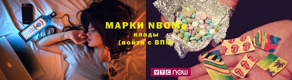 прущие грибы Аркадак