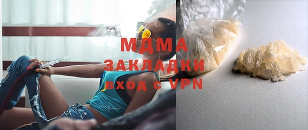 прущие грибы Аркадак