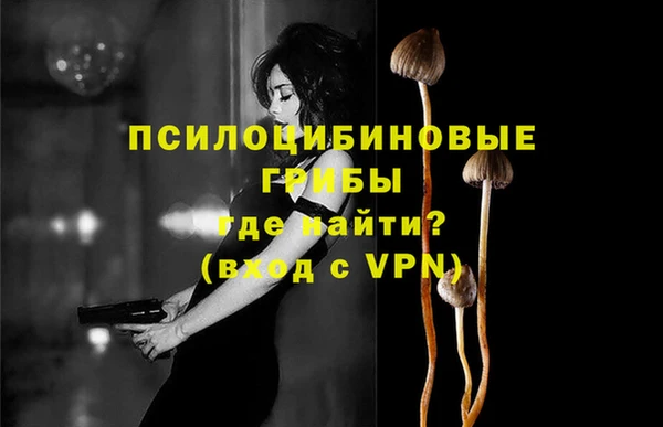 твердый Армянск