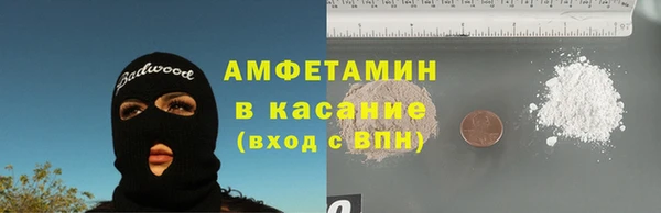 прущие грибы Аркадак