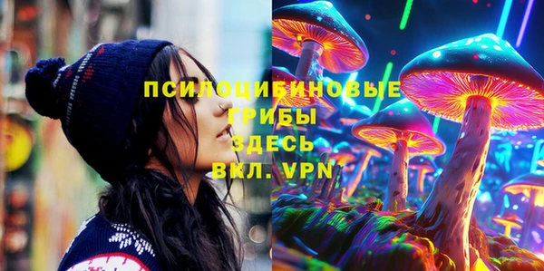 крисы Арсеньев