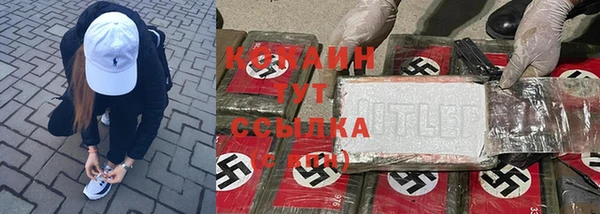 прущие грибы Аркадак
