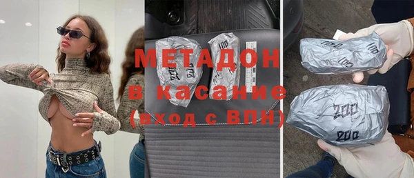 прущие грибы Аркадак