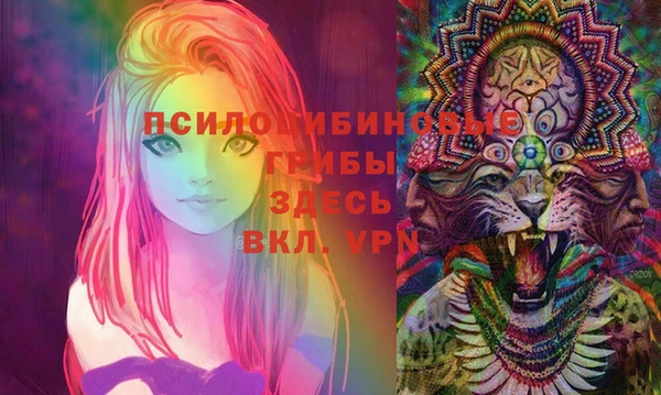 прущие грибы Аркадак