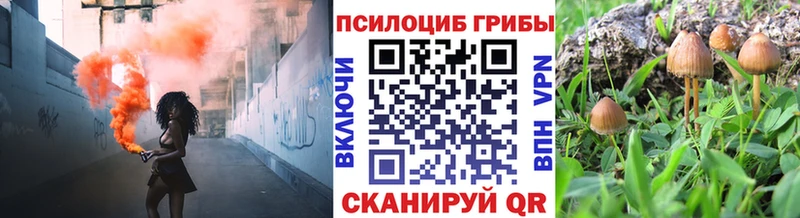 Купить закладки  Менделеевск  Галлюциногенные грибы Cubensis 